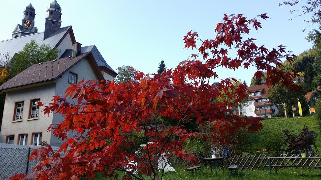 Europaeisches Gaeste- Und Seminarhaus Todtmoos Buitenkant foto